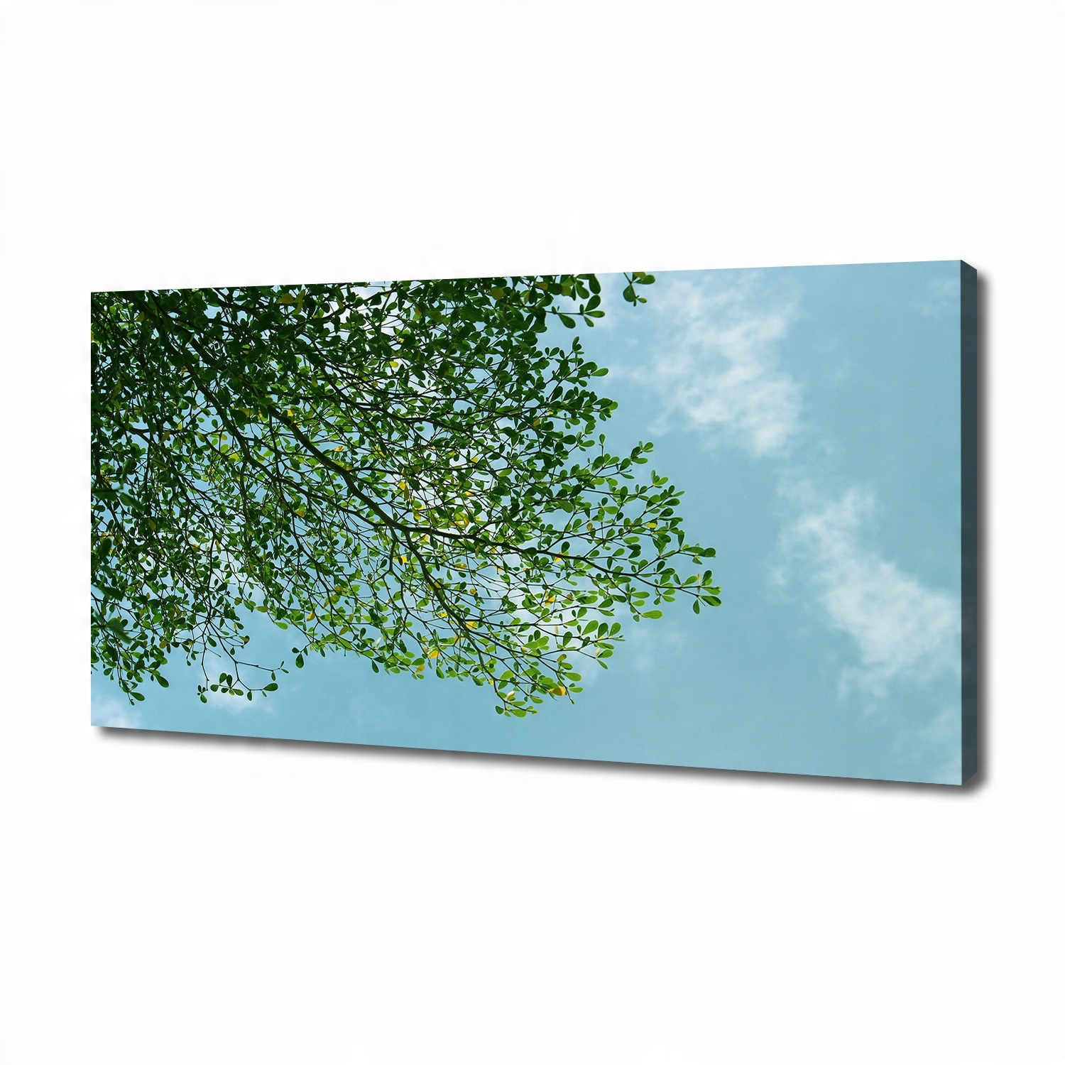 

Foto obraz na płótnie Liście na niebie 140x70 cm