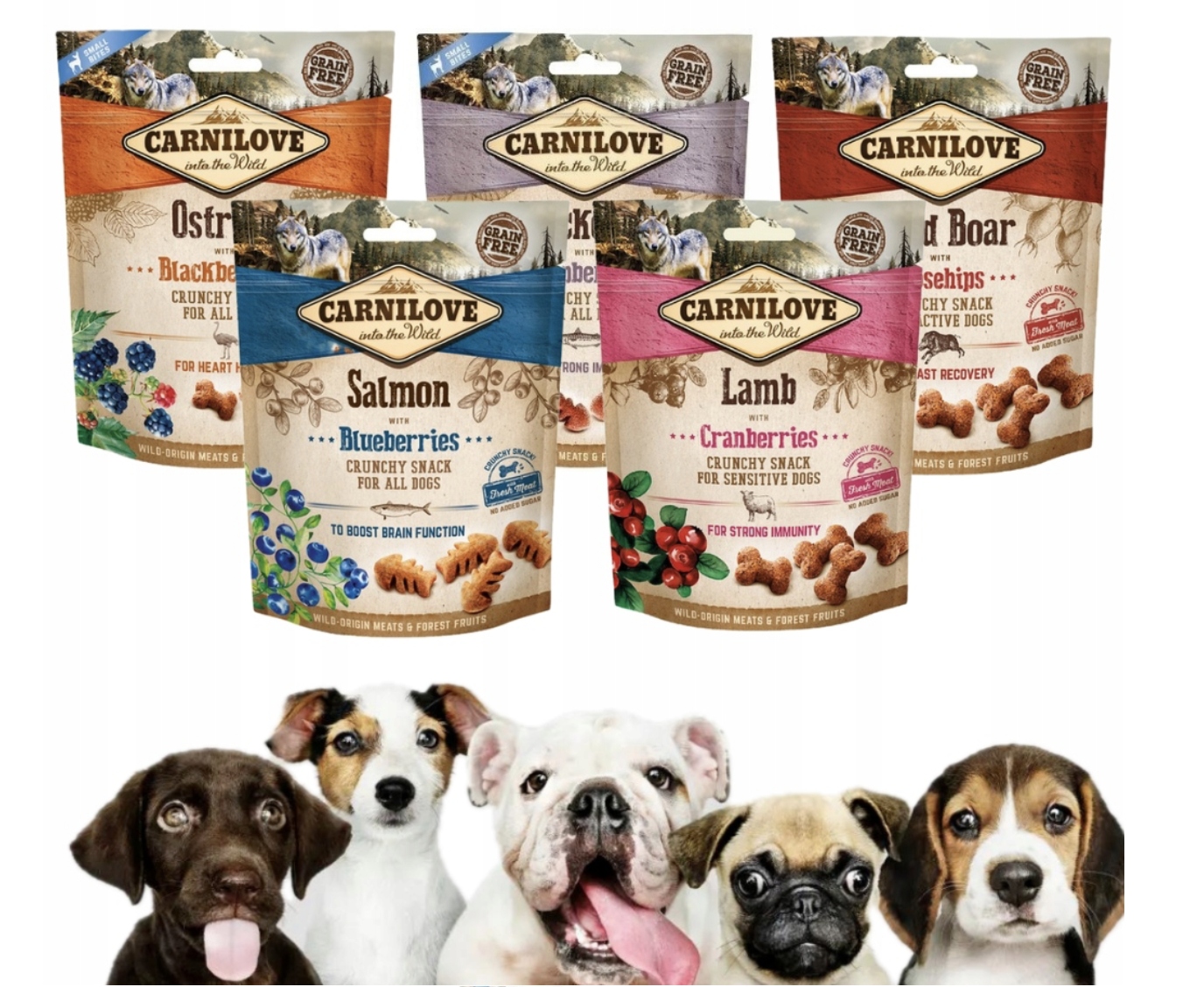 Levně Carnilove psí pamlsek Crunchy Snack Mix Chutí Sada 200g*5ks