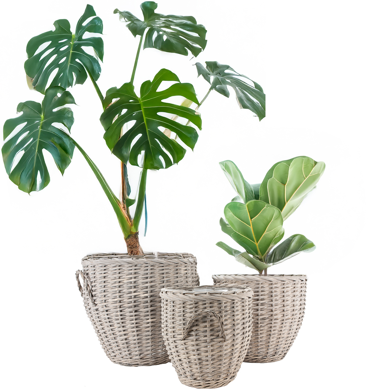 Obal Na Kvetináč Prútený Kôš Veľký 3 ks na palmu monstery v záhrade domu