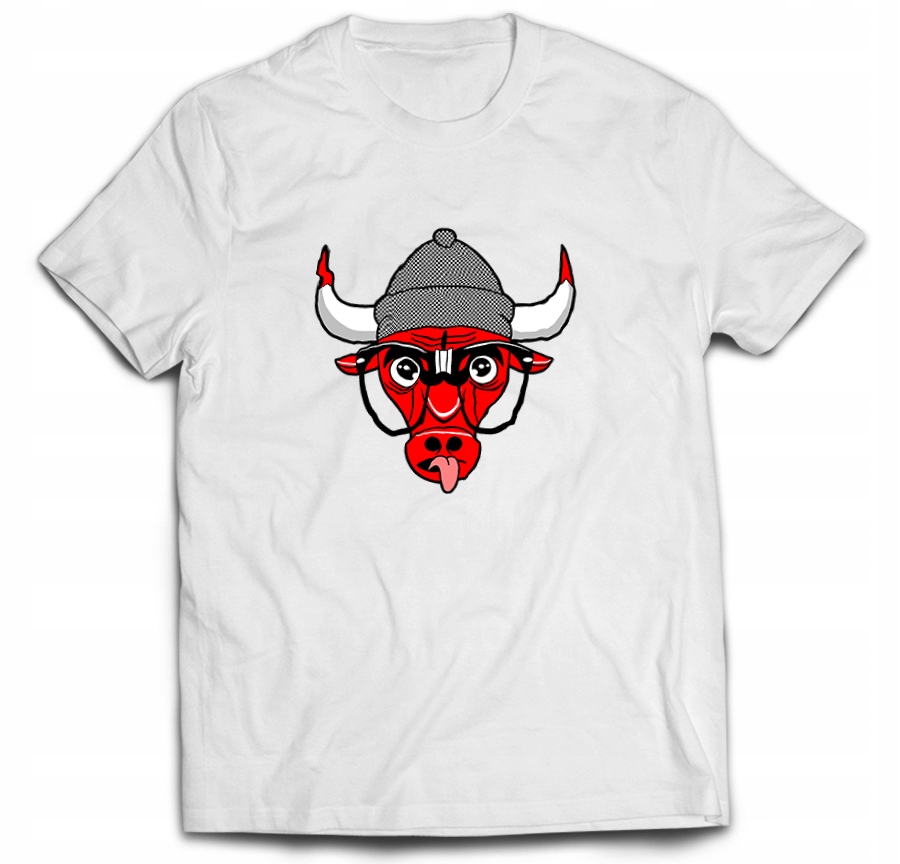 

Tshirt chicago bulls koszykówka grafika 3XL