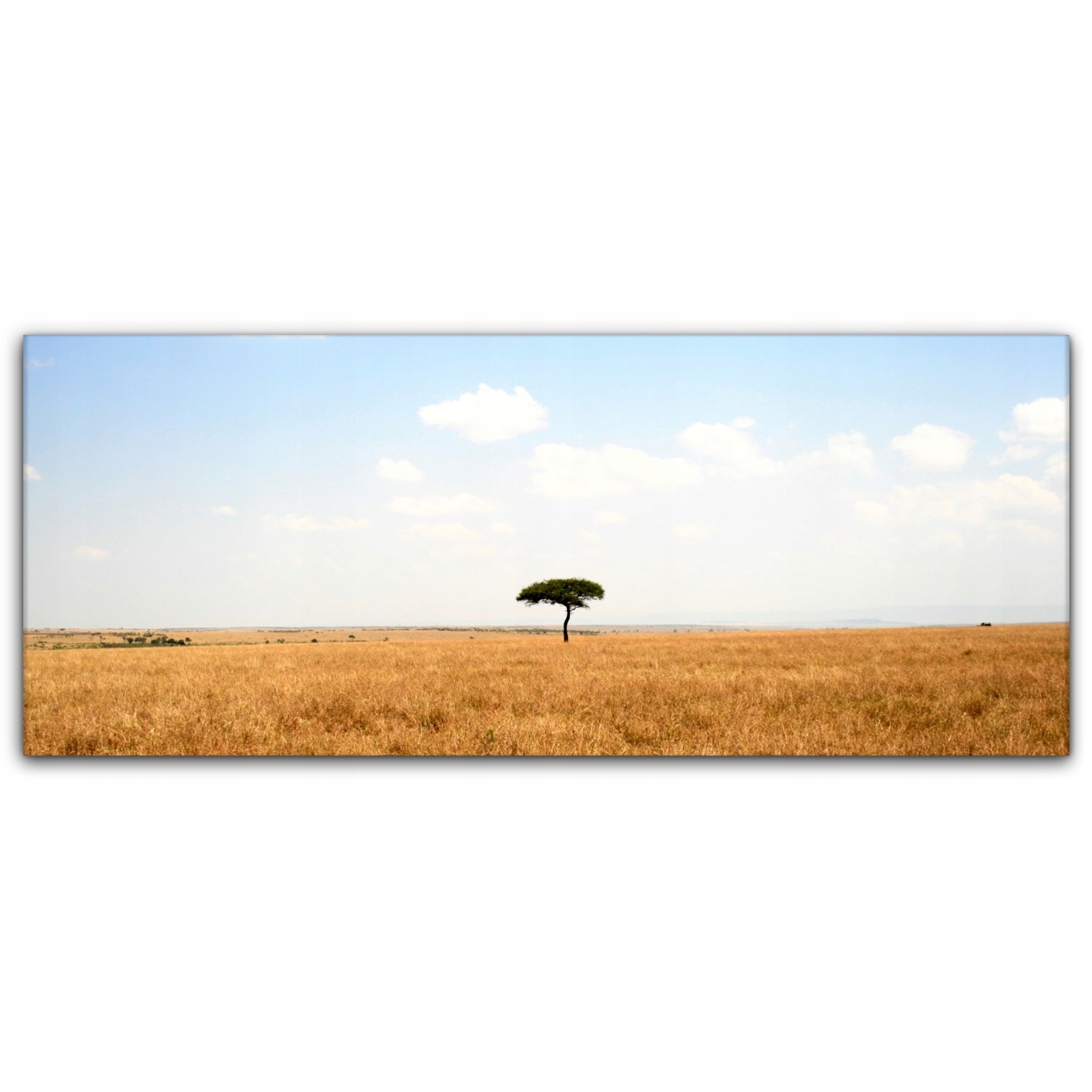 

Fotoobraz na płótnie 125x50 Afryka Drzewo Sawanna