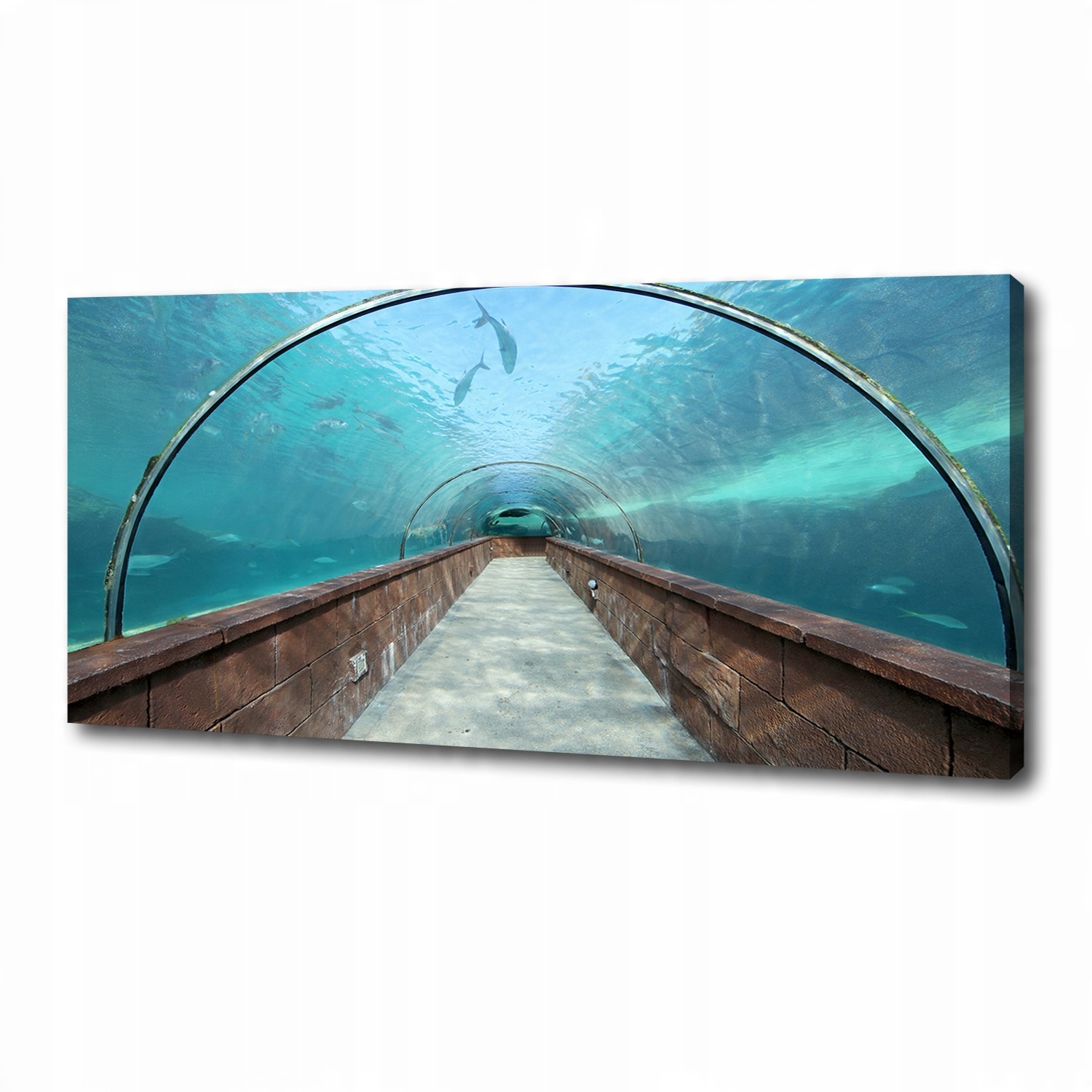 

Foto obraz na płótnie Tunel akwarium 125x50 cm