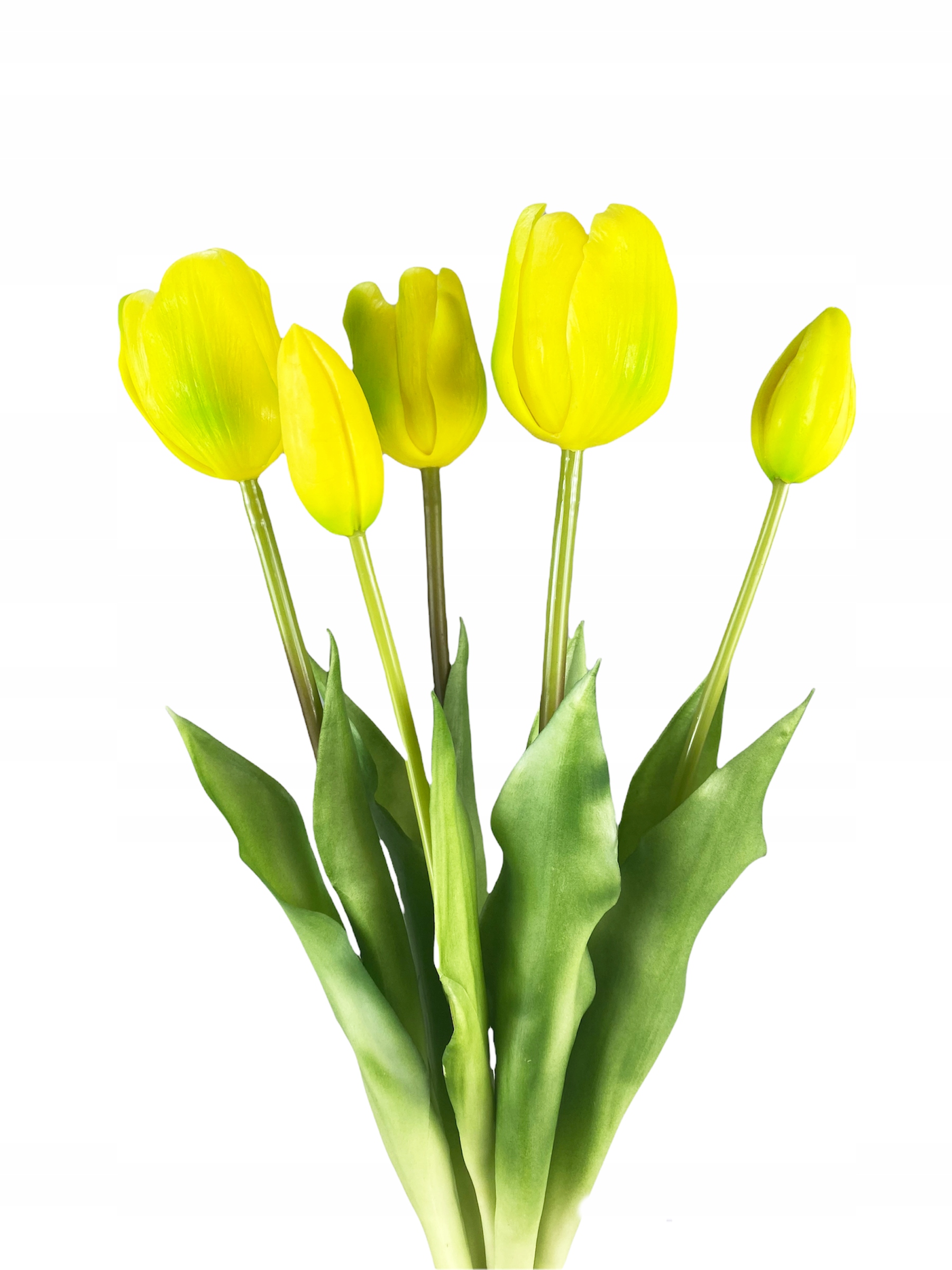 

Tulipan Tulipany Gumowane Kwiaty Jak Żywe żółte 5