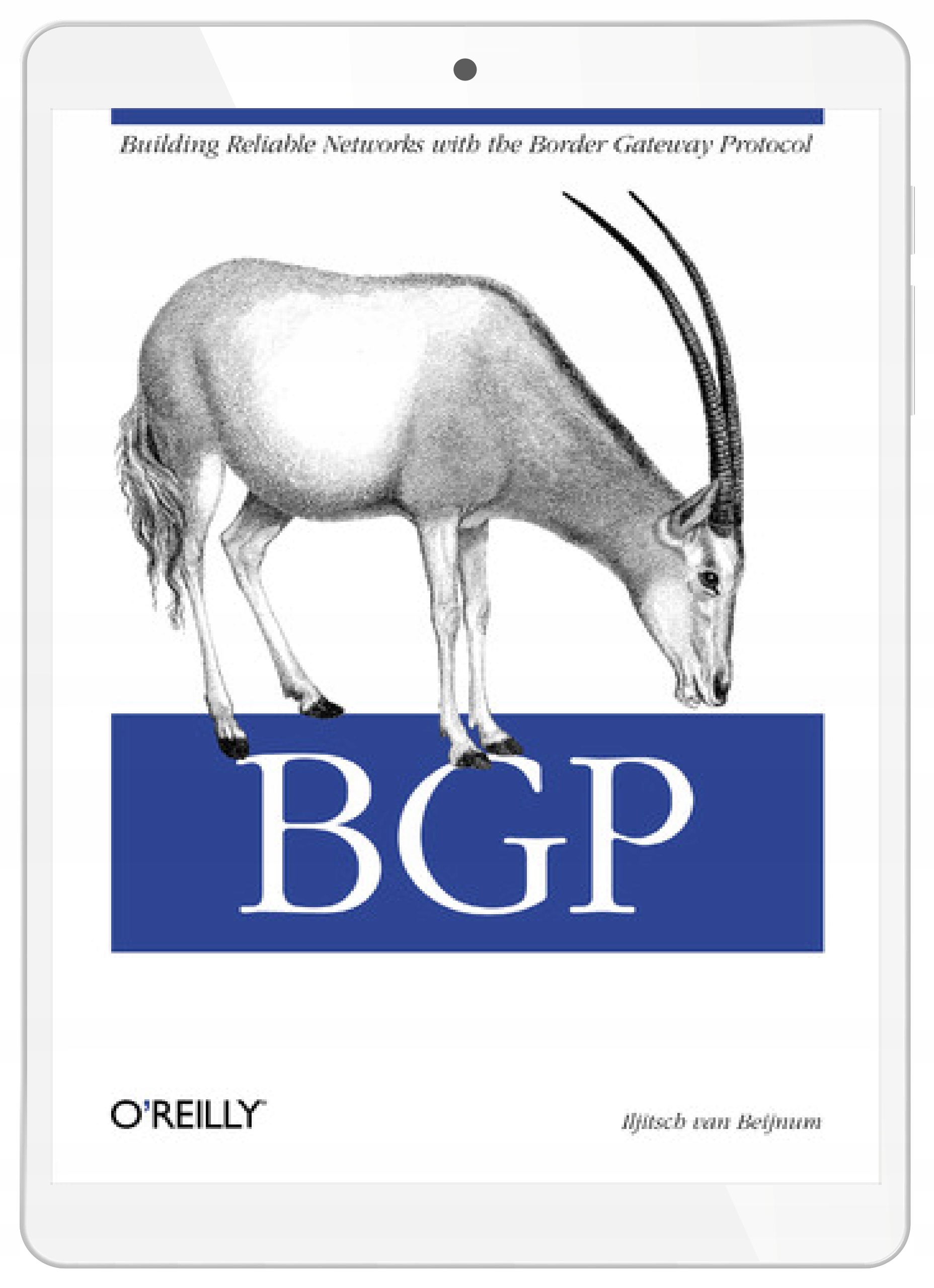 BGP. Building Reliable Networks with the Border