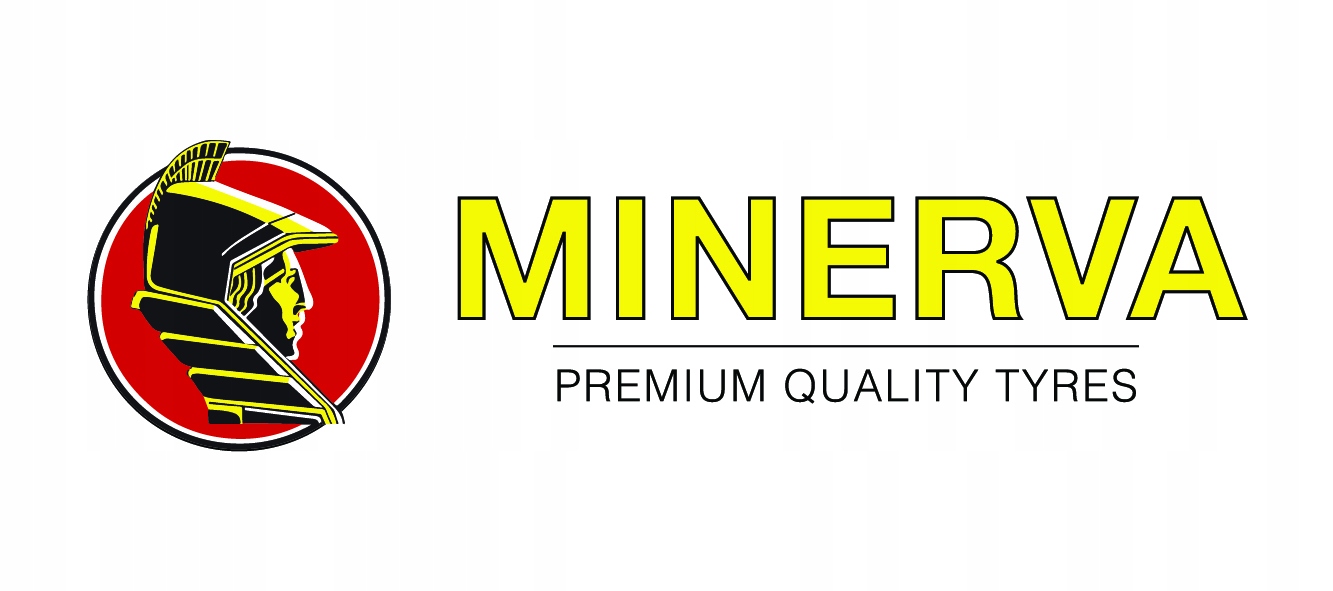 

4x Minerva 215/65R16 F209 98H