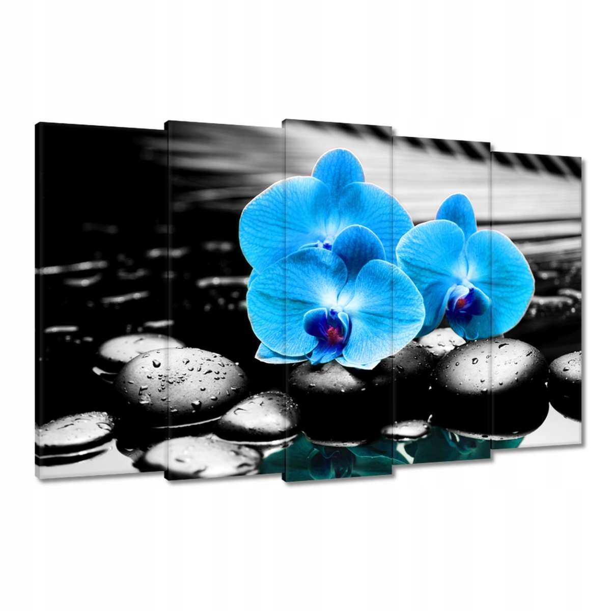 Obrazy 150x95 Modrý orchidej