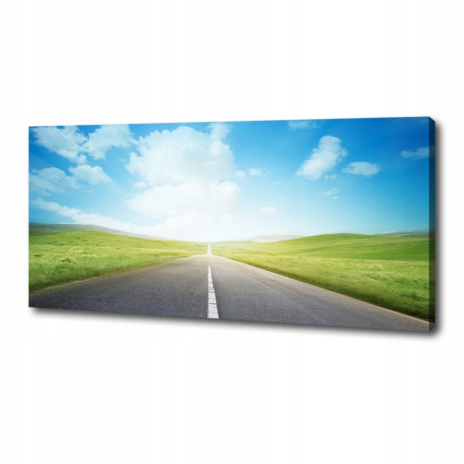 

Foto obraz na płótnie Droga przez łąkę 125x50 cm