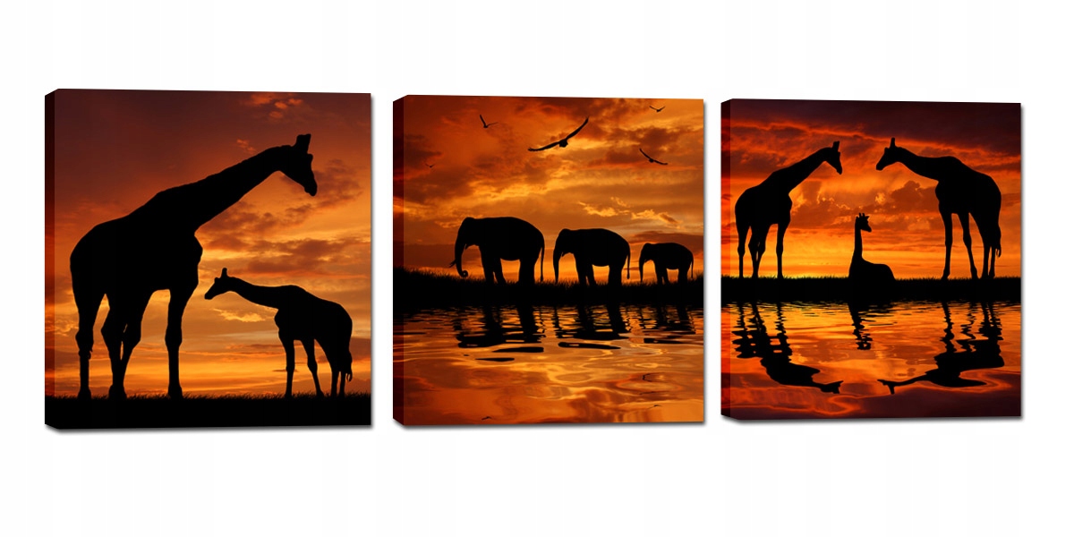 

Obrazy Afryka Słonie Zestaw Komplet 105cm