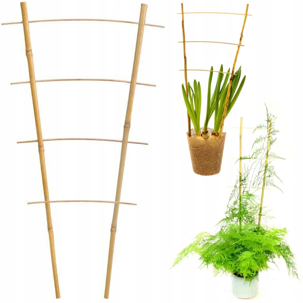 

Drabinka Bambusowa Podpora Do Roślin Kwiatów 45cm