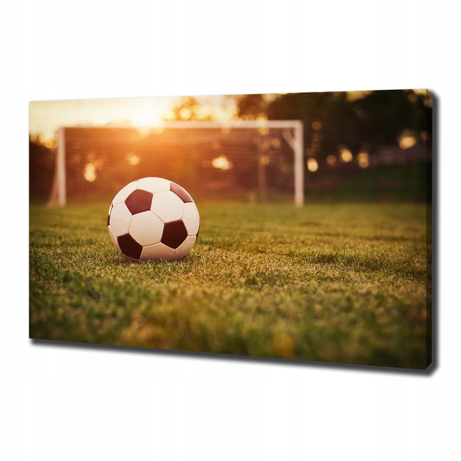 

Foto obraz na płótnie Piłka na murawie 100x70 cm