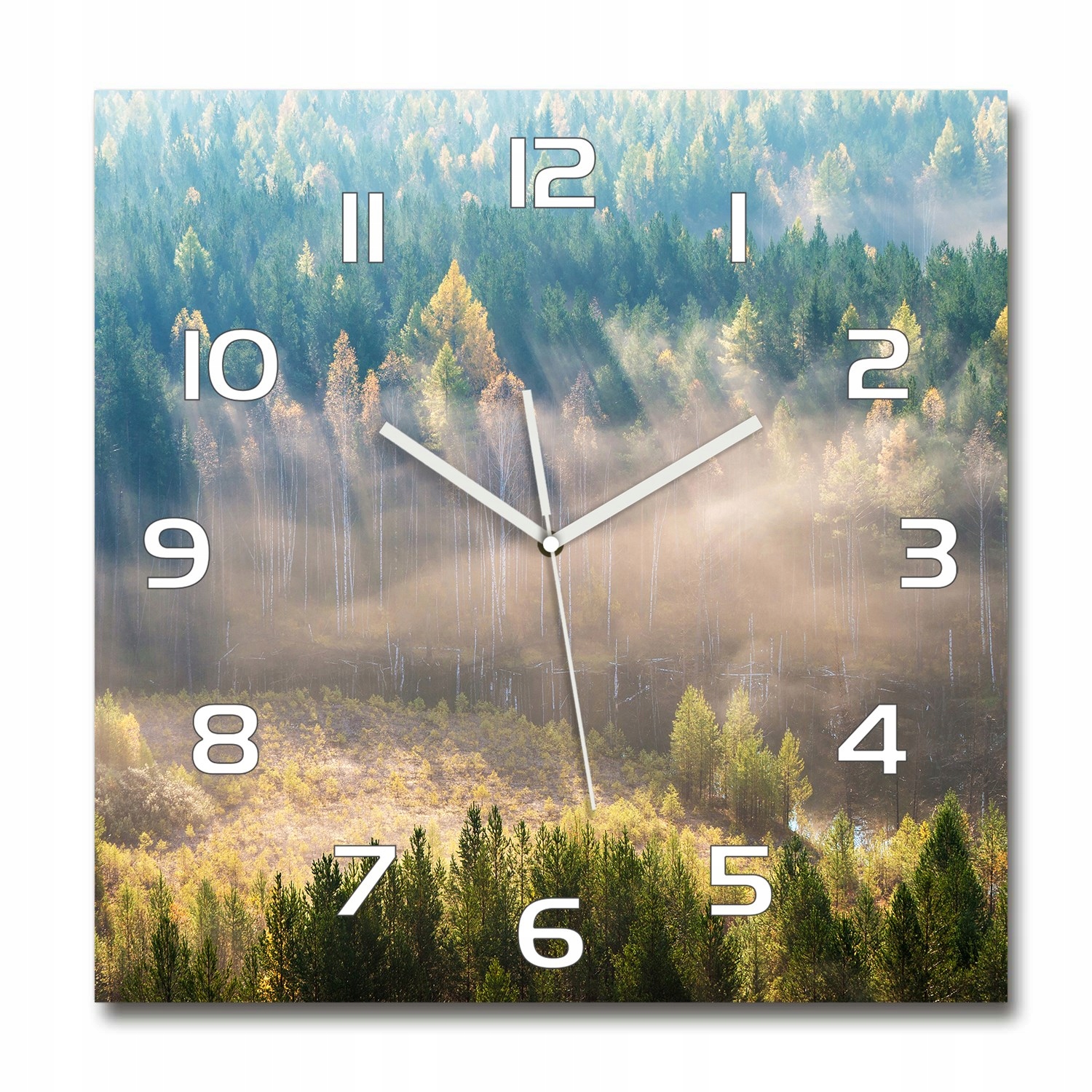 

Duży zegar ze szkła hartowanego Mgła w lesie 60x60