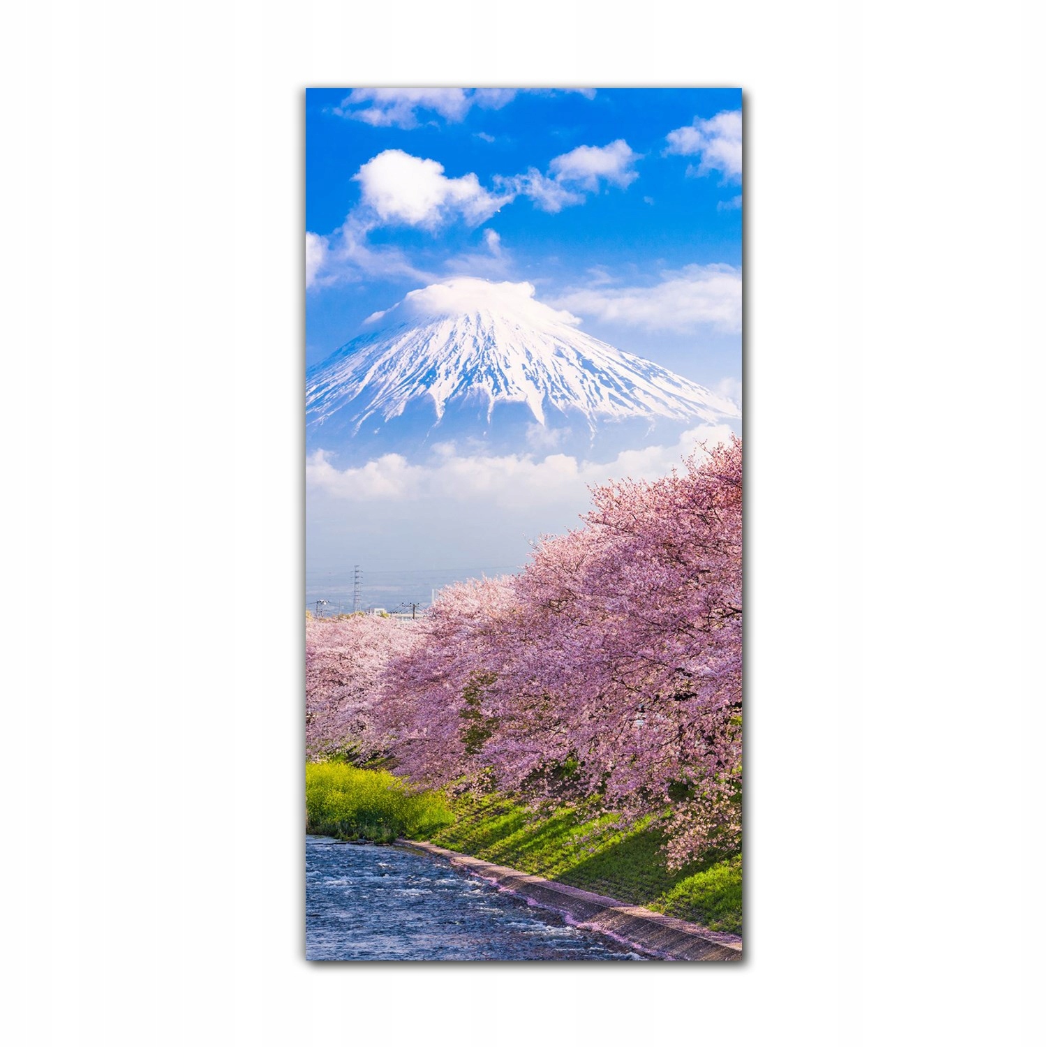 

Obraz na szkle ścienny 70x140 Japonia Fuji sakura