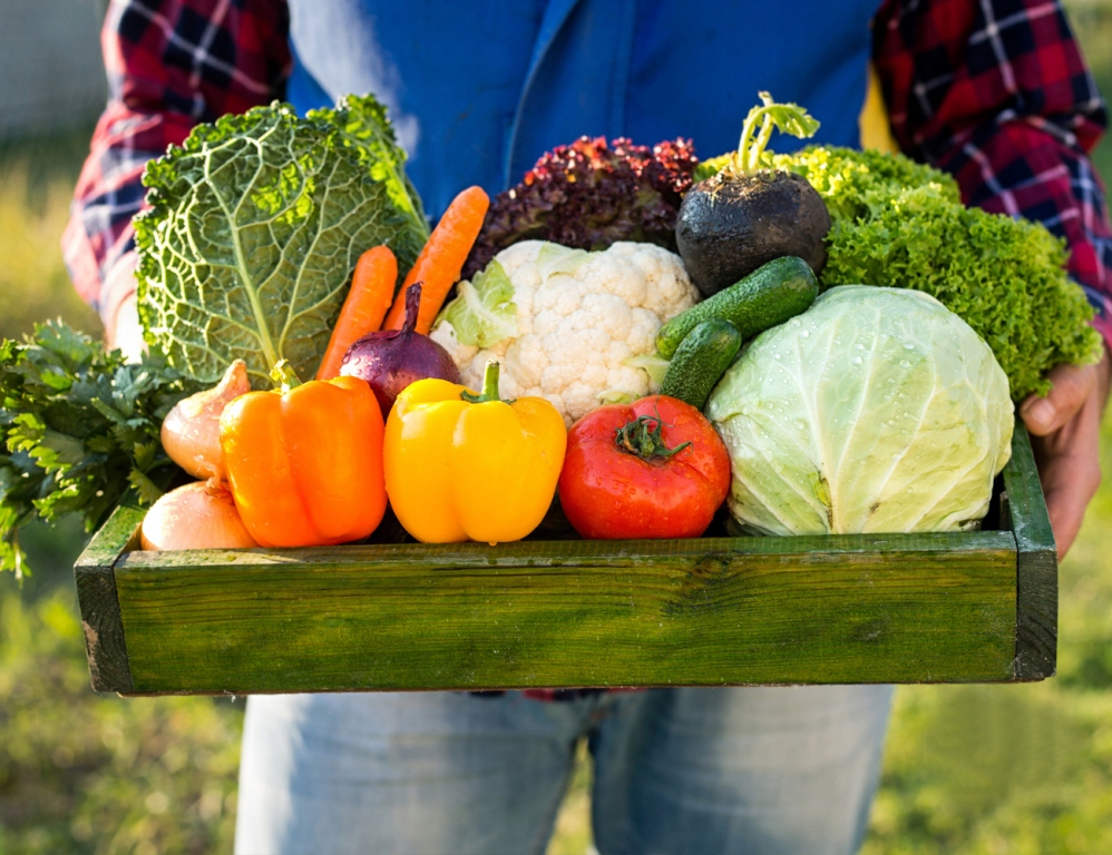 OBORNIK GRANULOWANY BYDLEC ORGANICZNY Y 25KG 40L NAWOZ NATURALNY DO ROŚLIN Producent 3M