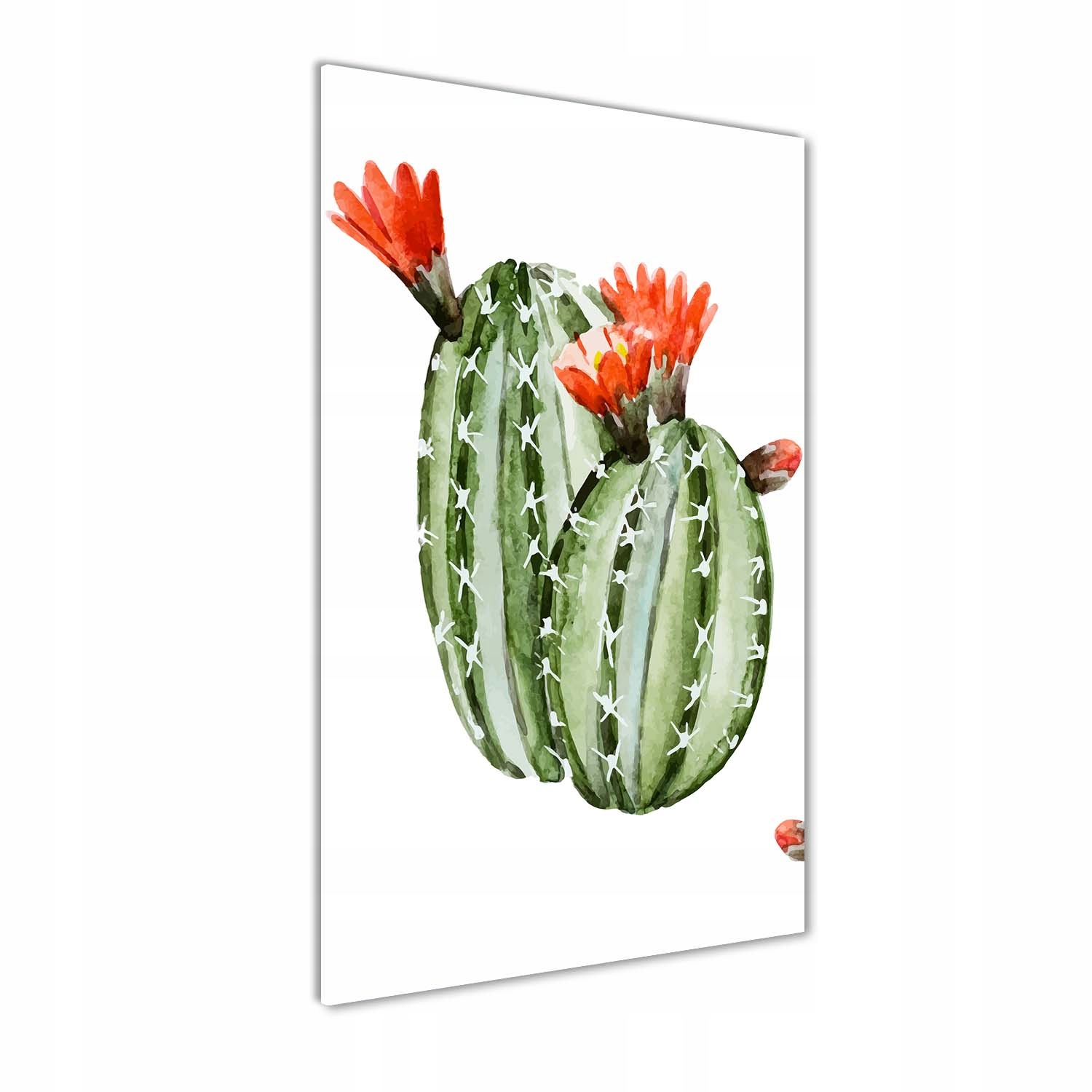 

Foto obraz akrylowy na ścianę Kaktusy 60x120 cm