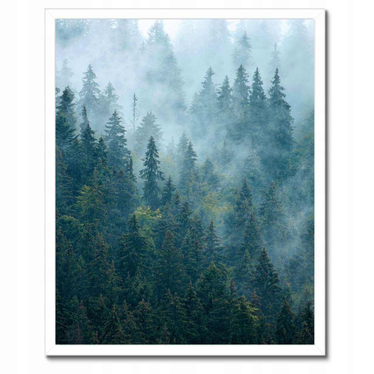 Plakát v bílém rámu 40x50 Les v mlze Cestování