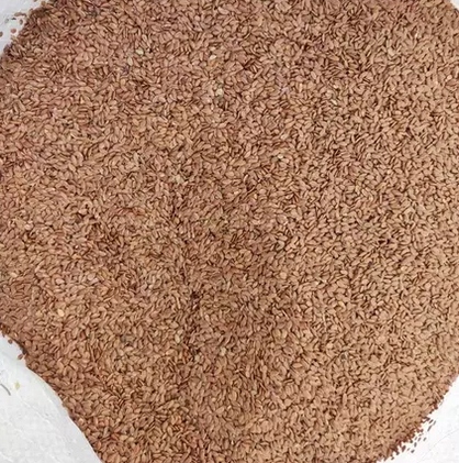 Len nasiona lnu siemię lniane paszowe 25kg