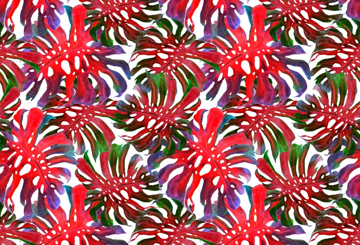 

Fototapeta Flizelina Egzotyczne liście - 104x70