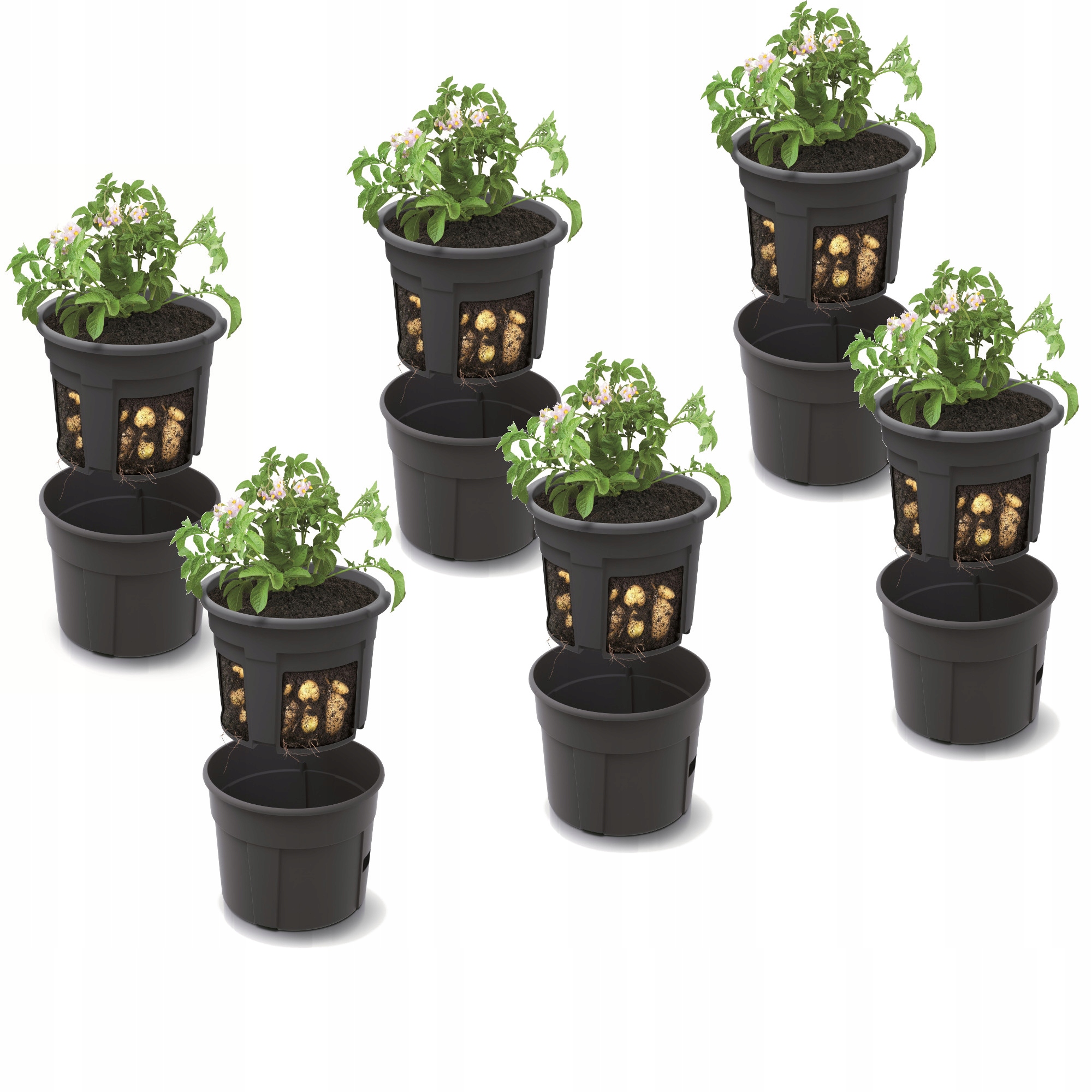 6 x Kvetináč na zemiaky 29,5 cm 12 l, sadzačka, náplň
