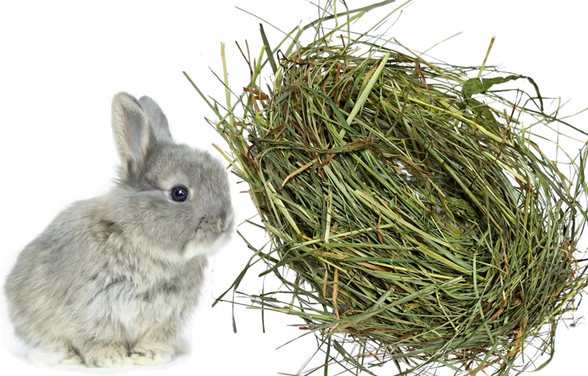 Krmivo pro králíka mini králíky 7 kg čerstvé seno od farmáře čerstvé