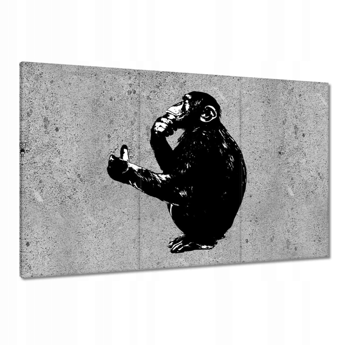 Obrazy 120x80 Moudrá opice to má ráda