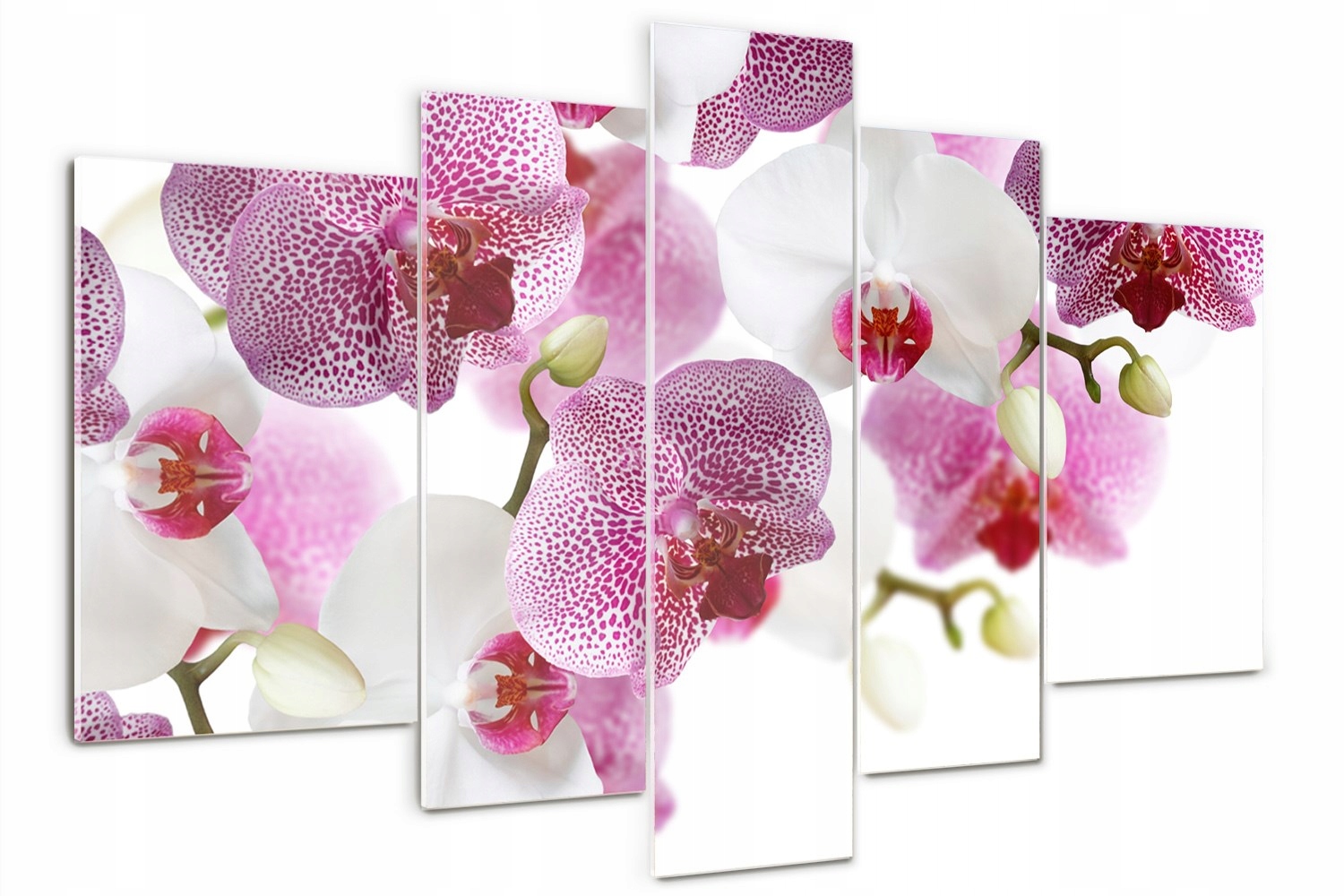 Foto Obraz skleněný triptych moderní Orchidej