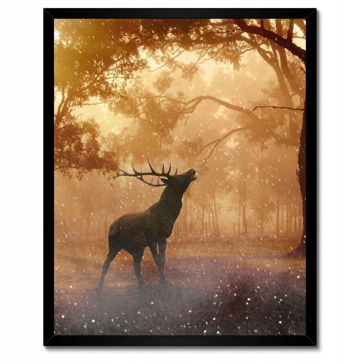 Plakáty v rámu 40x50 Jelen v lese