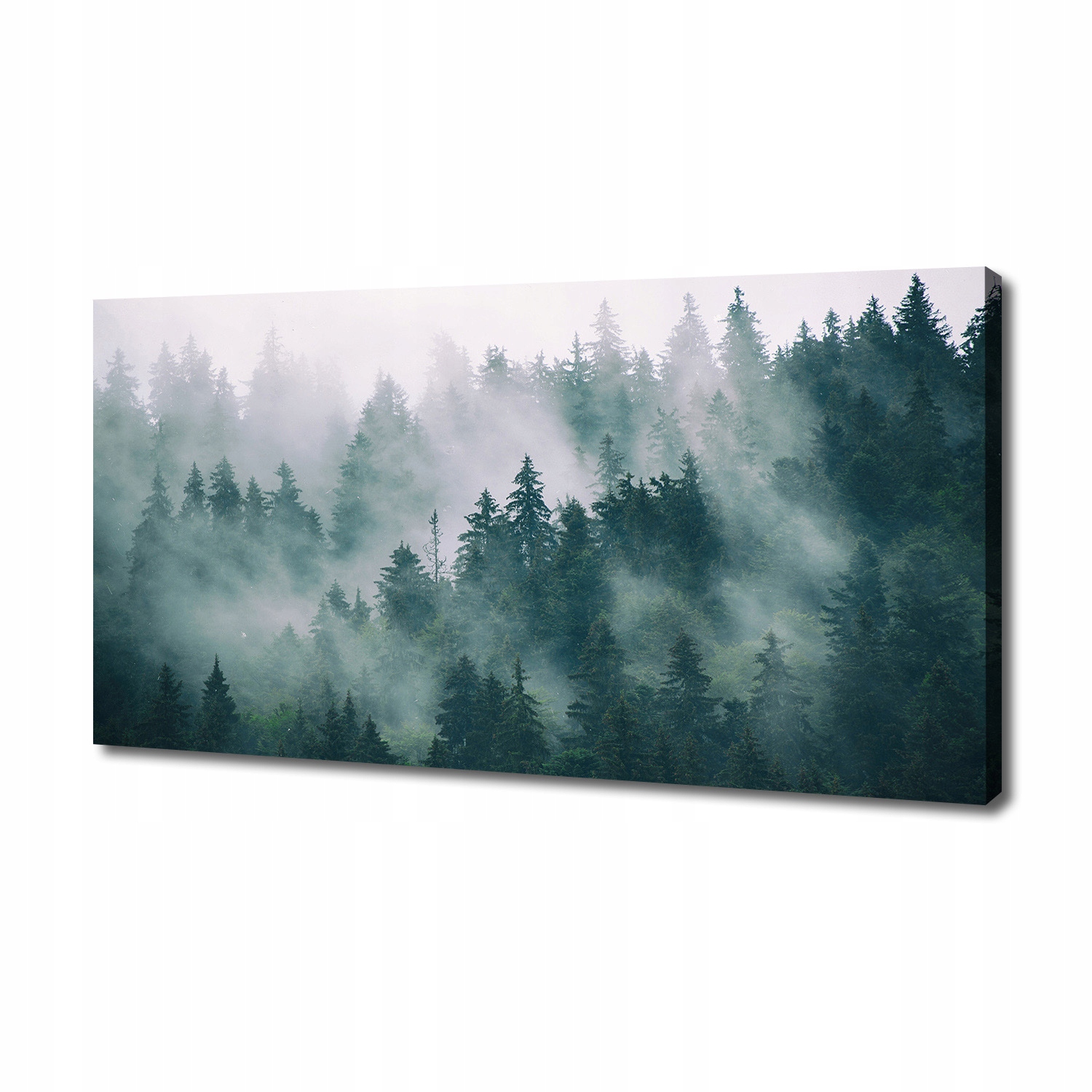 

Foto obraz na płótnie Mgła nad lasem 140x70 cm