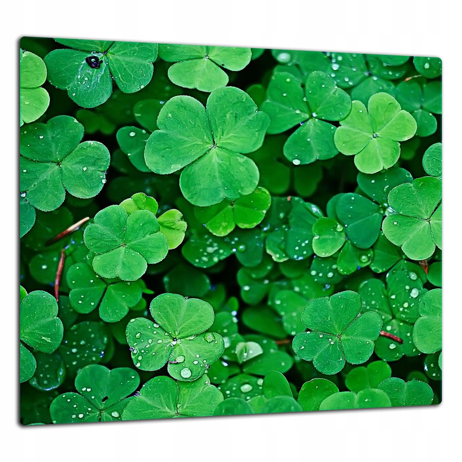 7v1 Skleněná Ochranná Deska Panel Lepidlo 65x60 Zelená