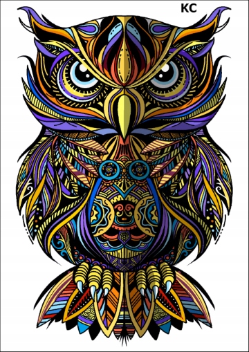 

PK16KC Tatuaż tymczasowy Sowa kolorowy mandala