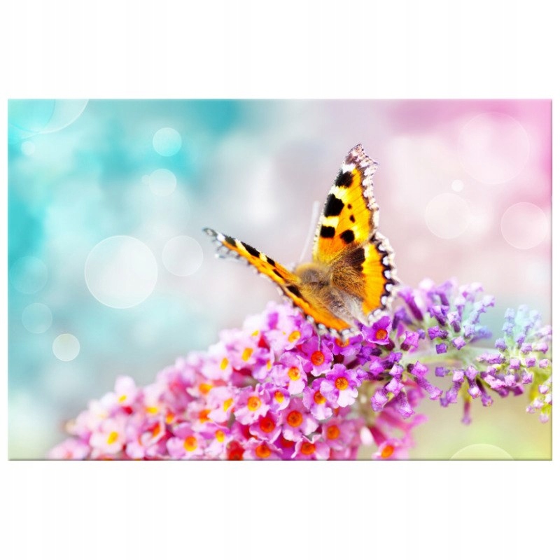 

Motyl na kwiatkach 120x80cm foto-obraz na płótnie
