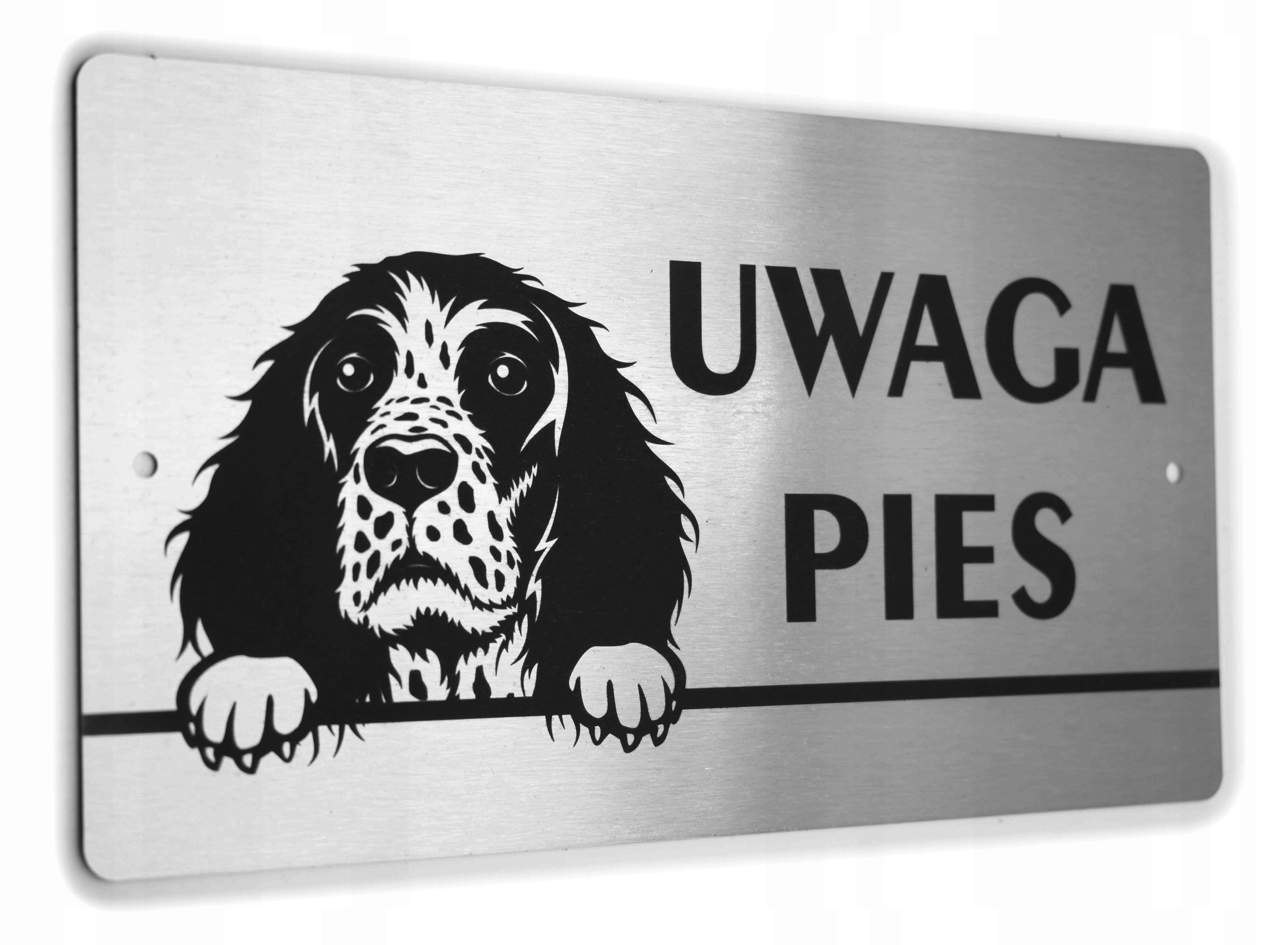 Tabliczka UWAGA PIES Springer Spaniel Angielski