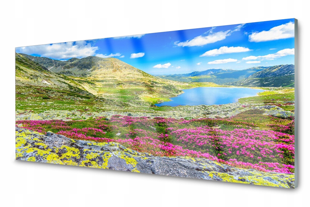 

Panel szklany do kuchni Góra Zatoka Łąka 125x50