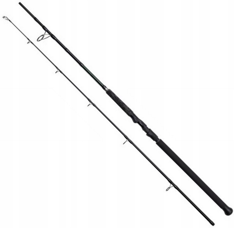 Wędka sumowa MadCat Black Spin 3,00m 40-150g 70693