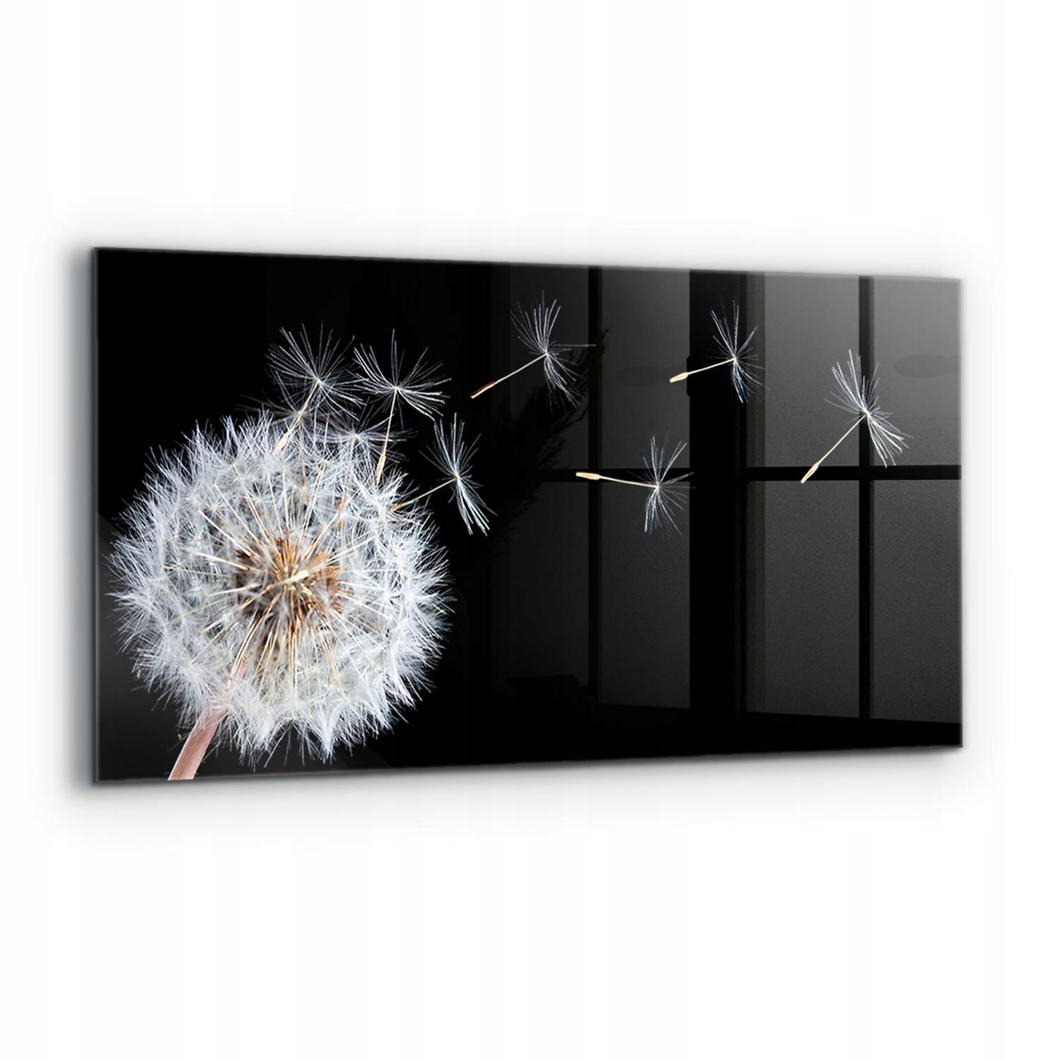 Nástenný panel Púpava Púpava na vetre 120x60