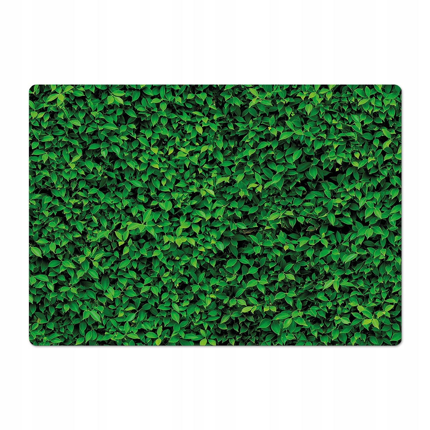 Mata chroniąca panele eko Żywopłot listki zieleń