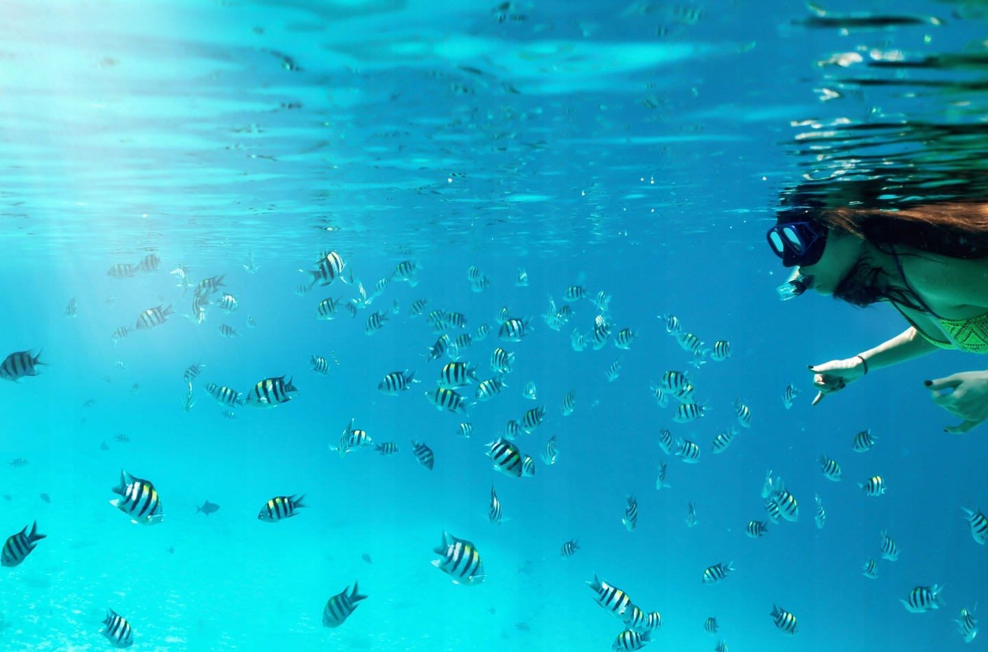 ZESTAW DO NURKOWANIA DLA DZIECI MASKA RURKA GOGLE Stan opakowania oryginalne