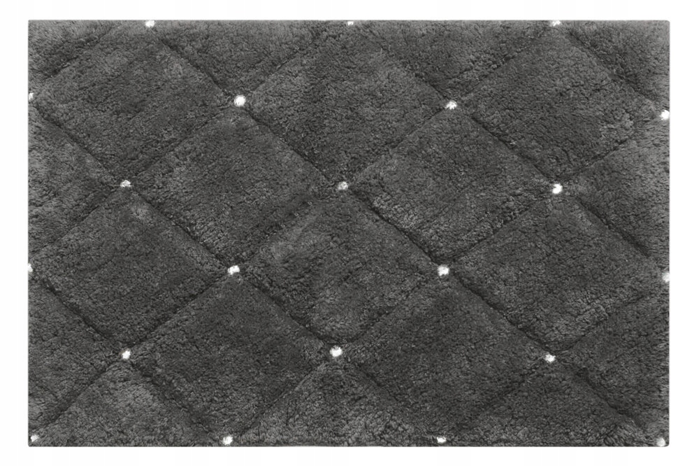 Koupelnová předložka CHIC-2 60x90 Eurofirany ocelová