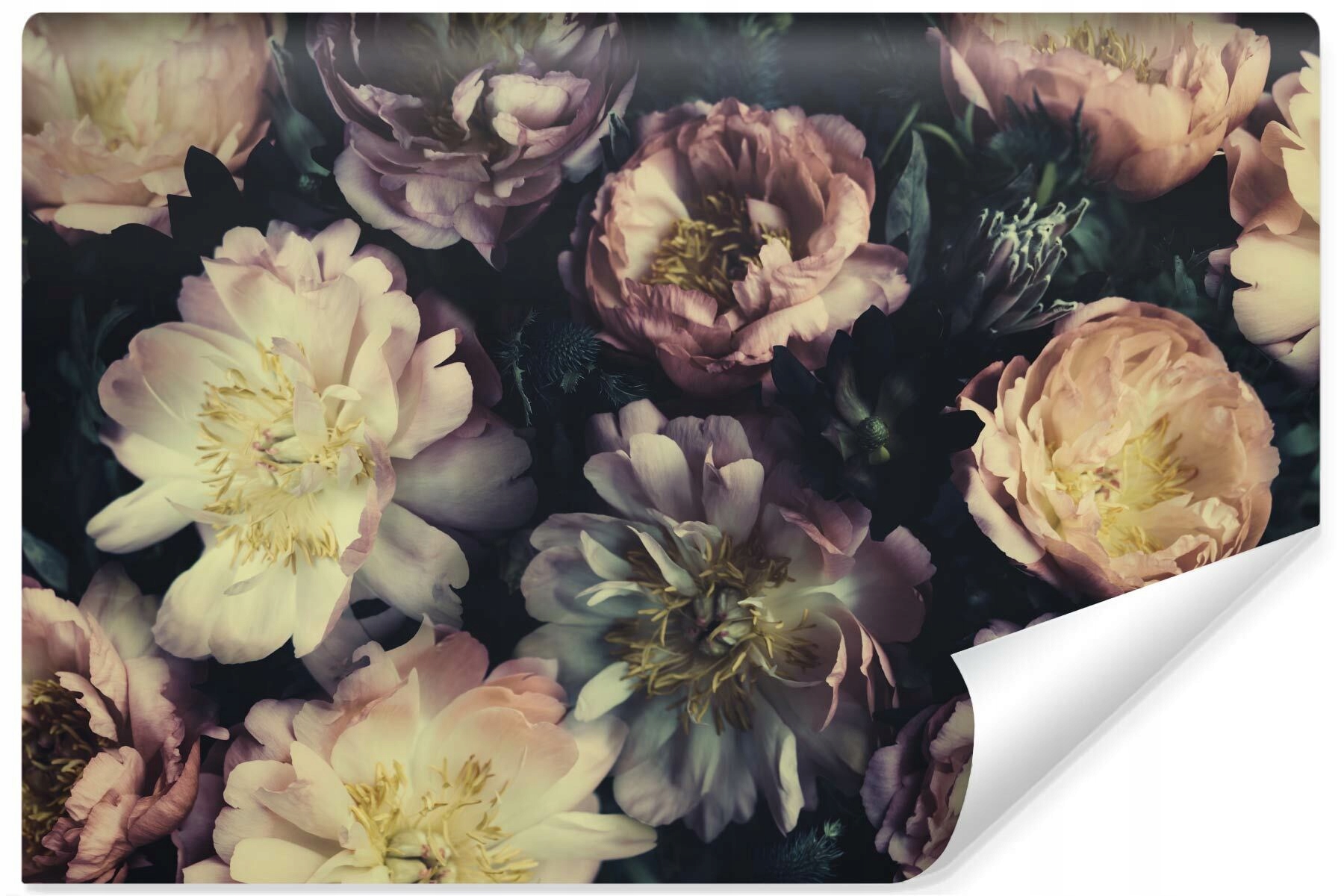 Fototapeta Pivoňky Vintage styl Květiny 3D 90x60