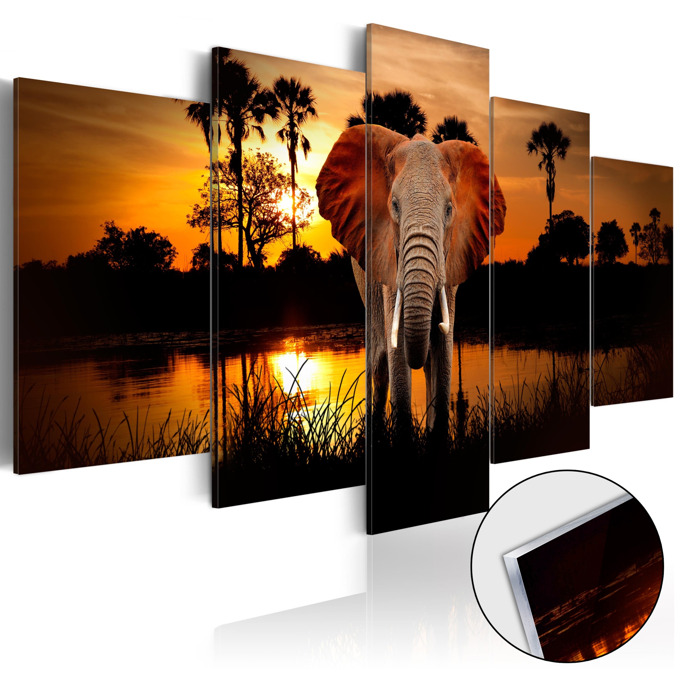 Obraz Na Akrylovém Skle 5 Dílů Triptych Slon Safari Afrika Západ 200x100