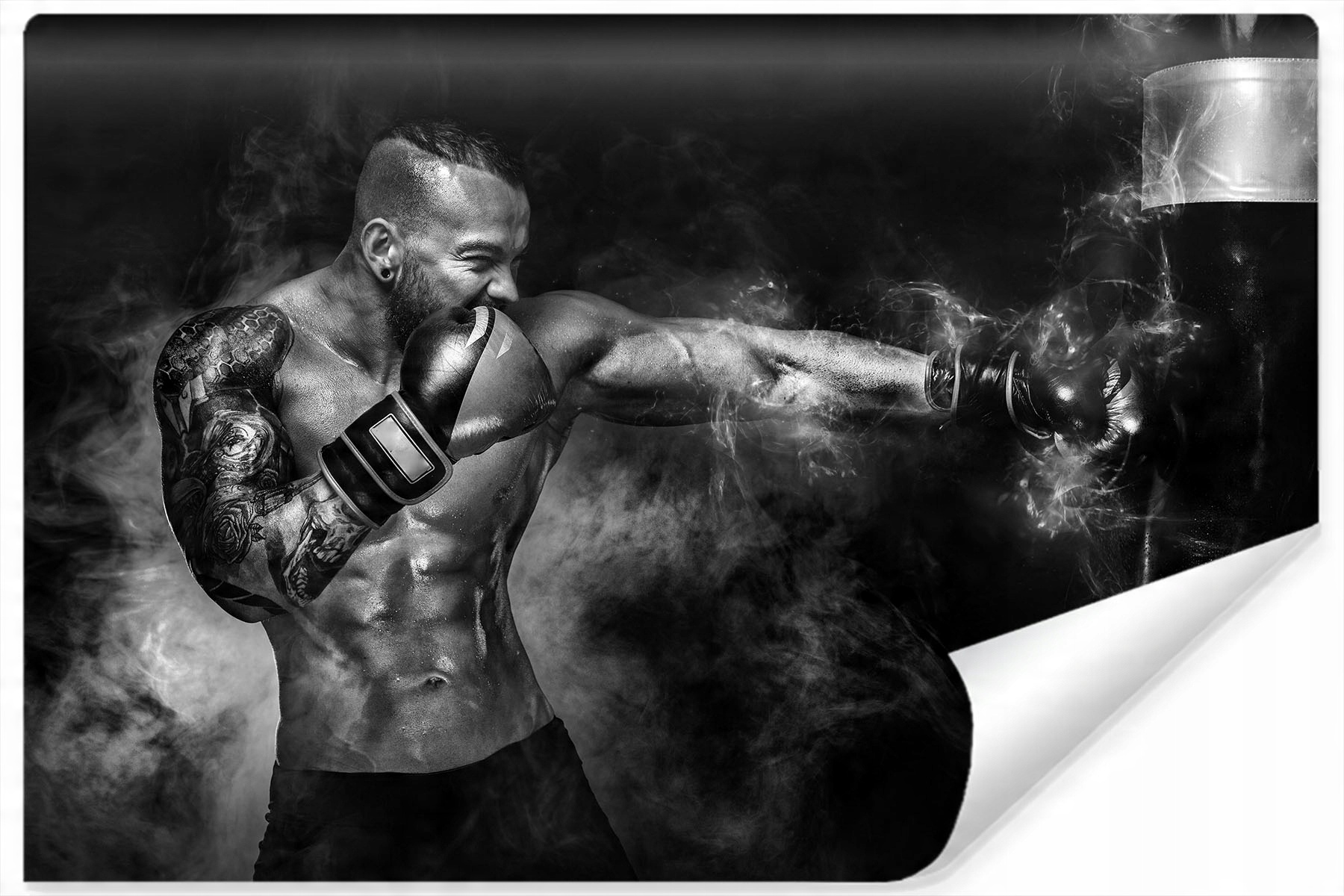 

Fototapeta do Siłowni Boks Sport Trening 180x120