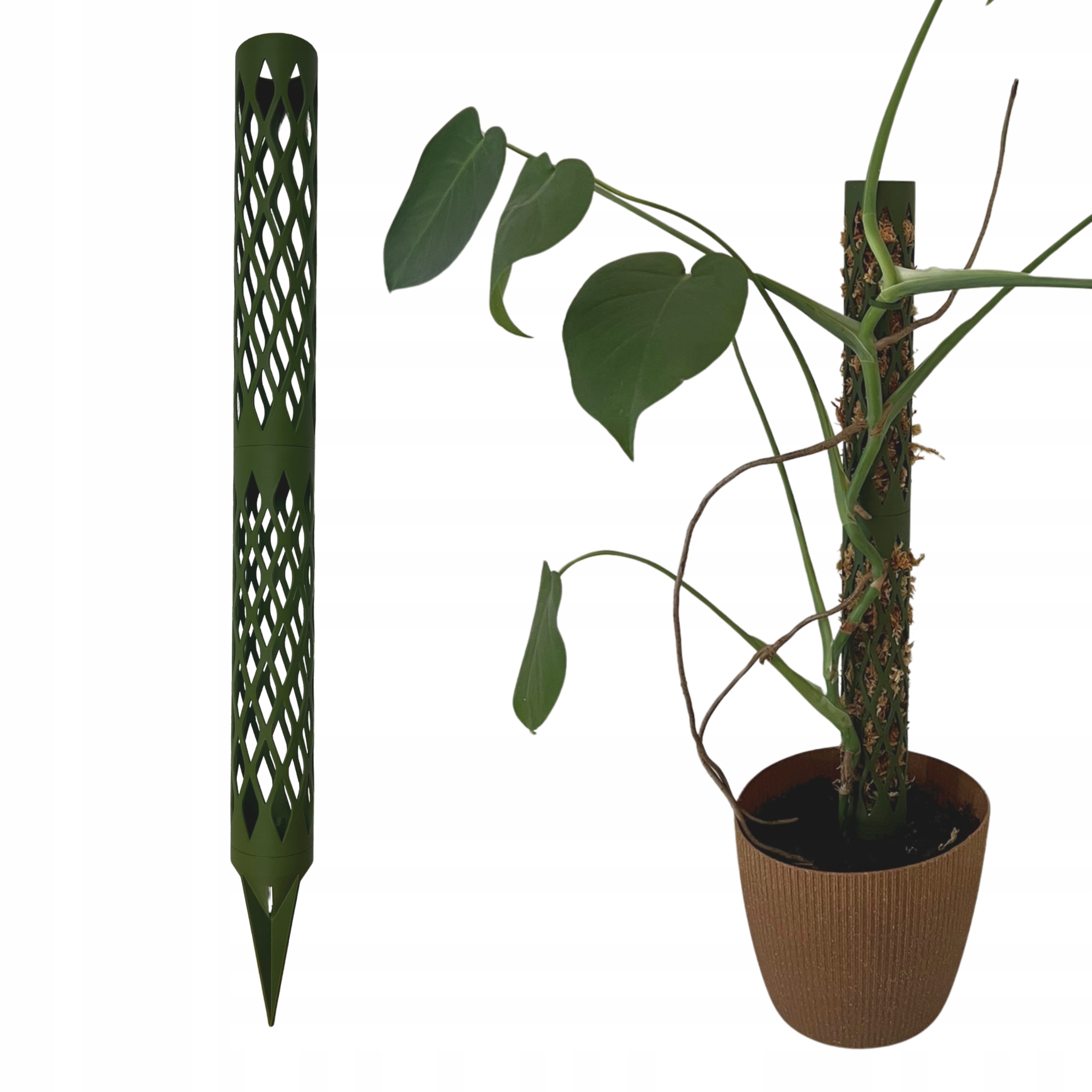 Modulární palík pro rostliny na mech Podpěra pro Monsteru na Kokos Podpěra 58 cm