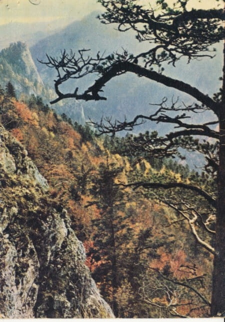 Pieniny Sokolica - 035133