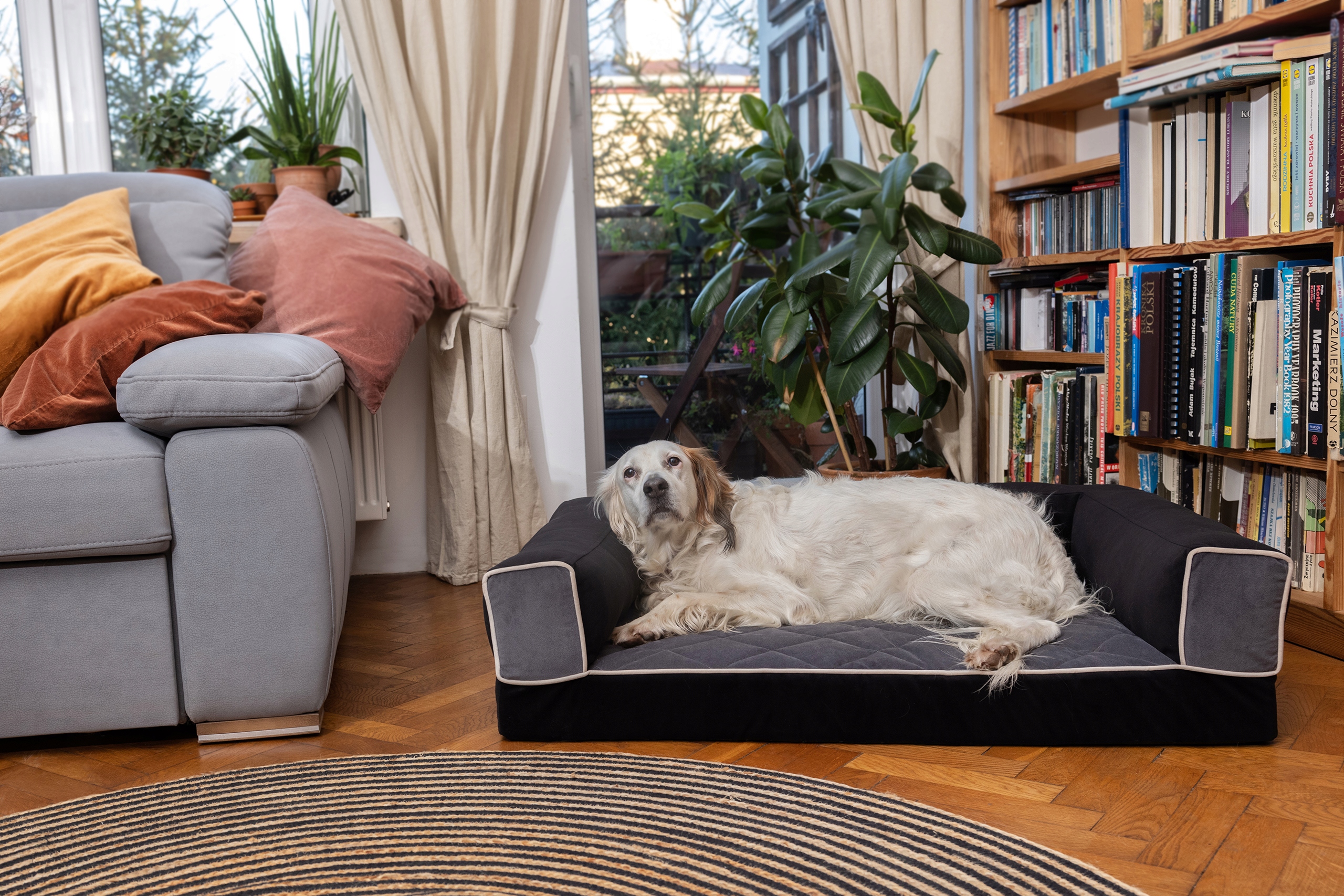 Материал полиэстера велюра 80кс60 дивана кровати собаки ортопедический