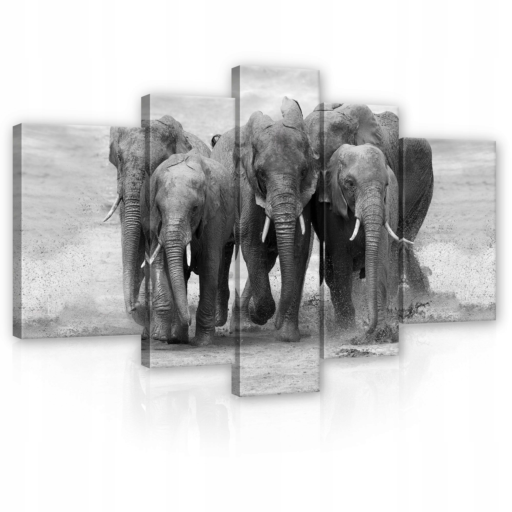 Obraz 170x100 Slony stádo pohyb voda sila Afrika príroda divoká príroda