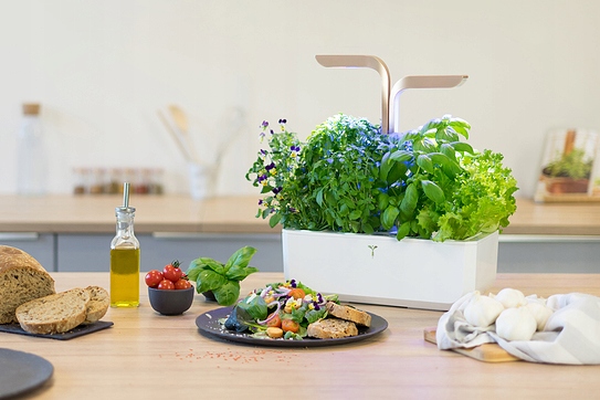 Veritable Classic Marka Véritable