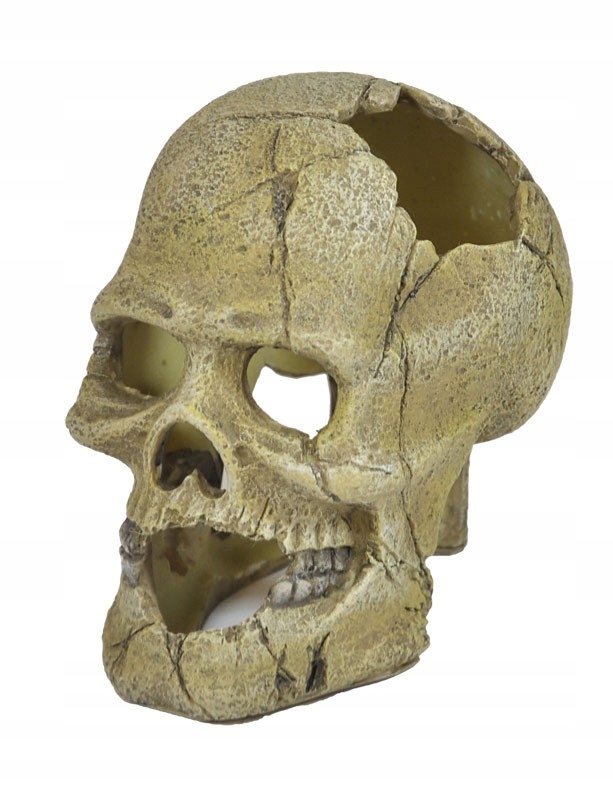 

Happet Ozdoba Do Akwarium U715 Czaszka Ludzka 13cm