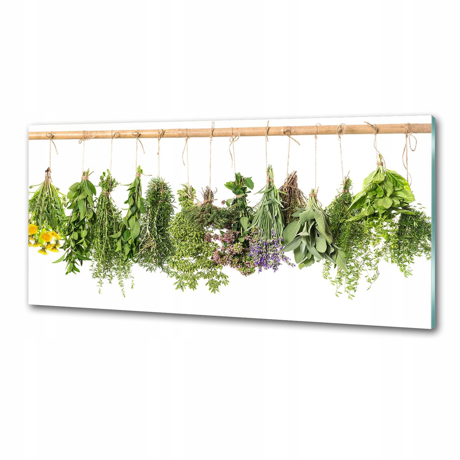 Panel do kuchyne Bylinky na šnúrke 125 x 50 cm Lepidlo