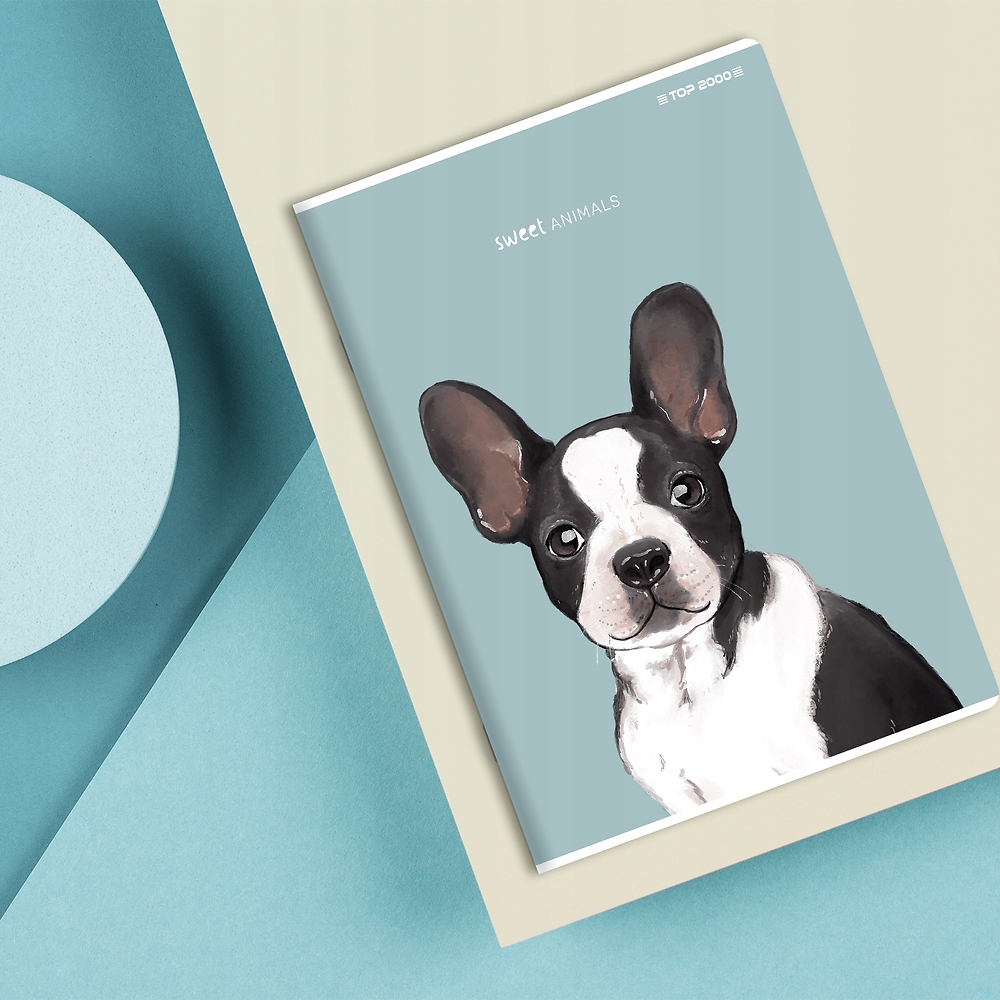 ZESZYT DO SŁÓWEK TOP 2000 SWEET ANIMAL A6 16 KARTEK KRATKA MIKS WZORÓW Okładka miękka