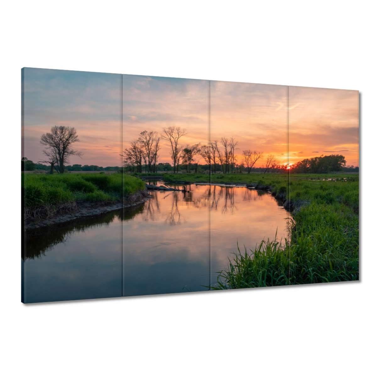 Obrazy 120x80 Řeka Louka