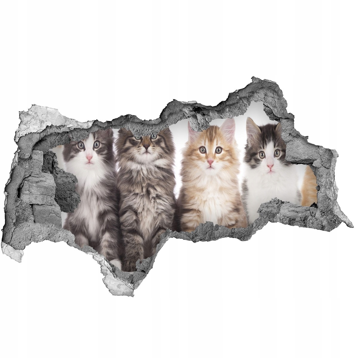 

Dziura 3d fototapeta Naklejka Sześć kotów 95x73